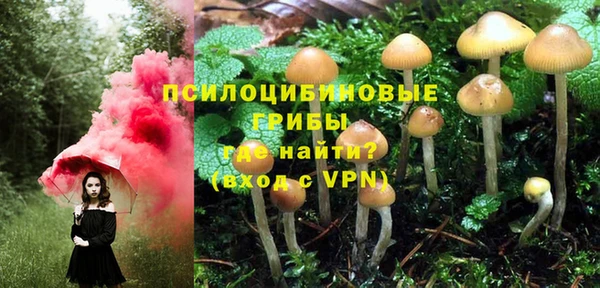 МДПВ Арсеньев