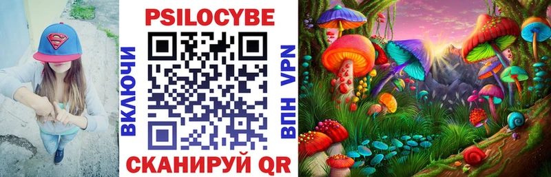 блэк спрут зеркало  darknet состав  Псилоцибиновые грибы MAGIC MUSHROOMS  Рассказово 